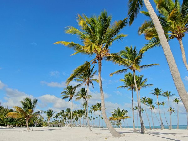 Restaurant haut de gamme à pornic : une expérience inoubliable