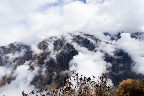 Séjour à la montagne : guide complet